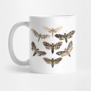 Vintage Moths Mug